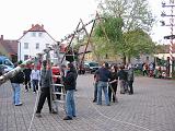 Maibaum 2009 156